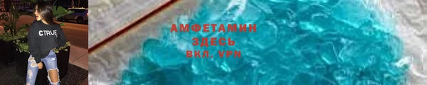 индика Беломорск