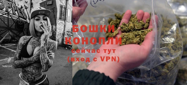 индика Беломорск