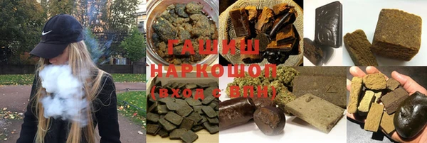 индика Беломорск