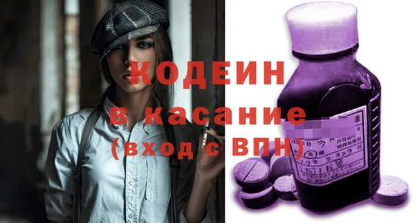 индика Беломорск