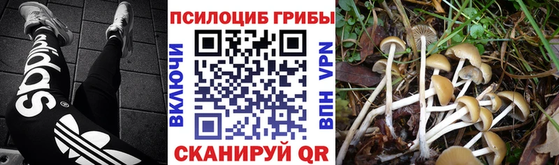 Псилоцибиновые грибы Cubensis  blacksprut онион  Воронеж 