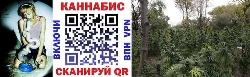 Марихуана Bruce Banner Воронеж