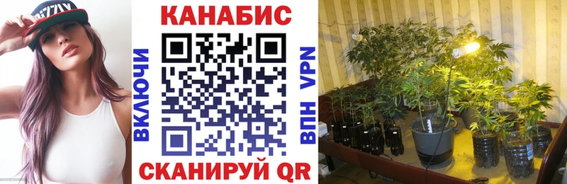 Канабис план  кракен сайт  Воронеж 